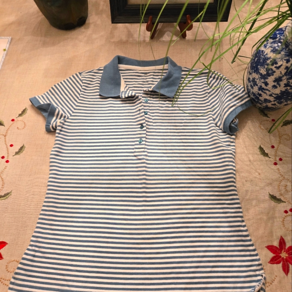 Talbots Sage and White Fitted Polo Top